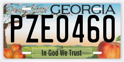 GA license plate PZE0460