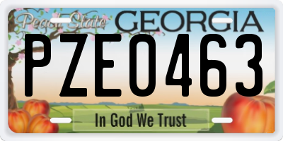 GA license plate PZE0463