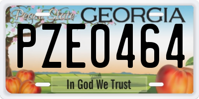 GA license plate PZE0464