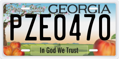 GA license plate PZE0470