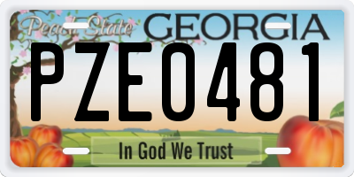 GA license plate PZE0481