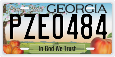 GA license plate PZE0484