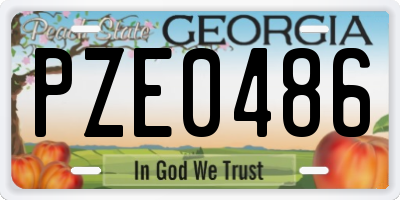 GA license plate PZE0486