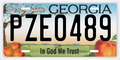 GA license plate PZE0489