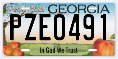 GA license plate PZE0491