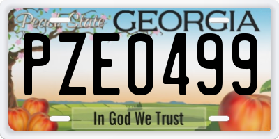 GA license plate PZE0499