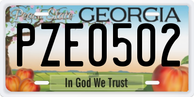 GA license plate PZE0502