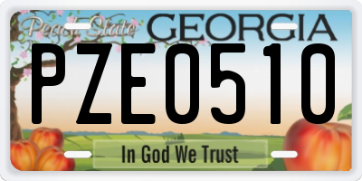 GA license plate PZE0510