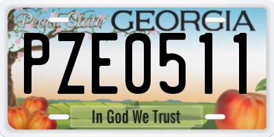 GA license plate PZE0511