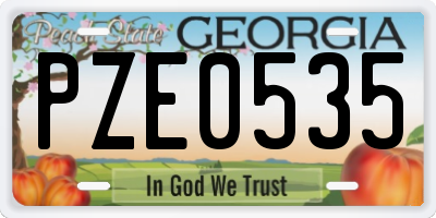 GA license plate PZE0535