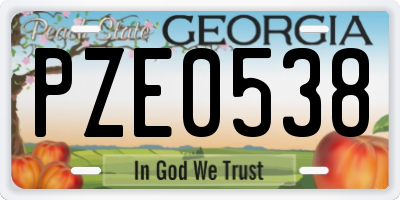 GA license plate PZE0538
