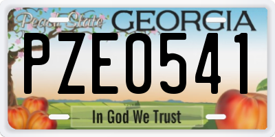 GA license plate PZE0541