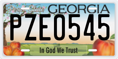 GA license plate PZE0545