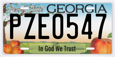 GA license plate PZE0547