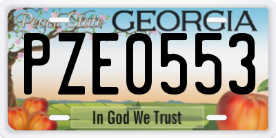 GA license plate PZE0553