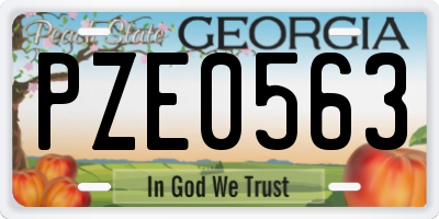 GA license plate PZE0563