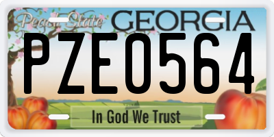 GA license plate PZE0564