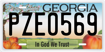 GA license plate PZE0569