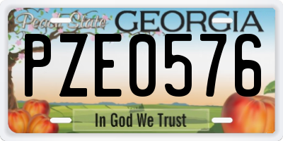 GA license plate PZE0576