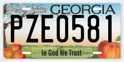 GA license plate PZE0581