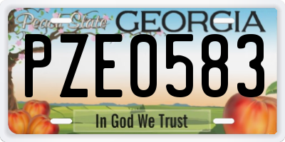 GA license plate PZE0583