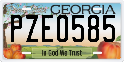 GA license plate PZE0585