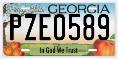 GA license plate PZE0589