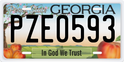 GA license plate PZE0593