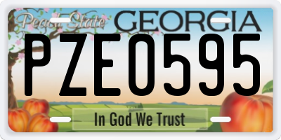 GA license plate PZE0595