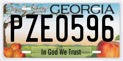GA license plate PZE0596