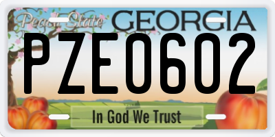 GA license plate PZE0602