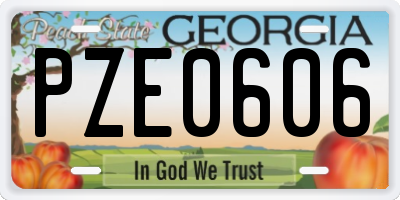 GA license plate PZE0606