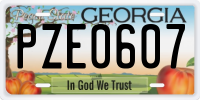 GA license plate PZE0607