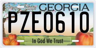GA license plate PZE0610