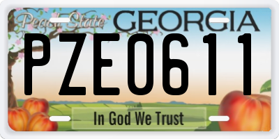 GA license plate PZE0611