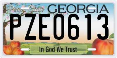GA license plate PZE0613