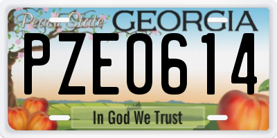 GA license plate PZE0614