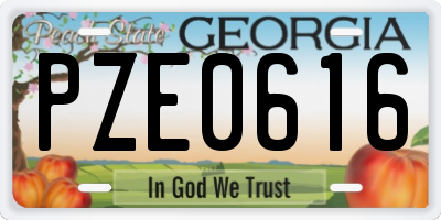 GA license plate PZE0616