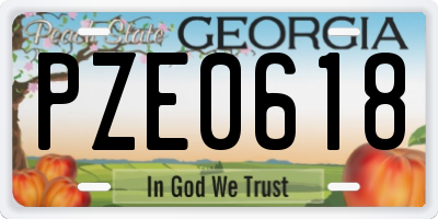 GA license plate PZE0618