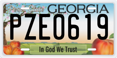 GA license plate PZE0619