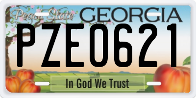 GA license plate PZE0621