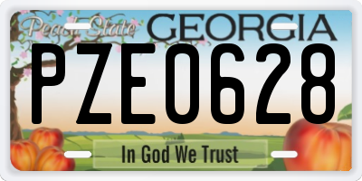 GA license plate PZE0628