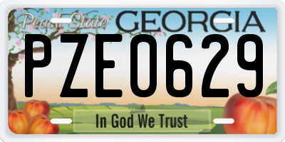 GA license plate PZE0629