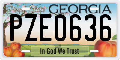 GA license plate PZE0636