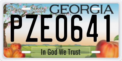 GA license plate PZE0641