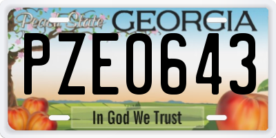 GA license plate PZE0643