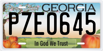 GA license plate PZE0645