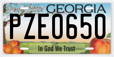GA license plate PZE0650