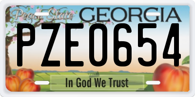 GA license plate PZE0654