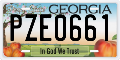GA license plate PZE0661